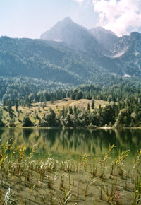 el lago Ferchensee