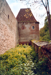 muralla y torre
