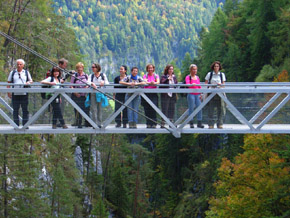 el grupo en el puente