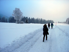 caminata por la nieve