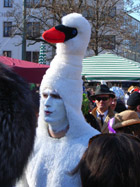 carnaval: cisne